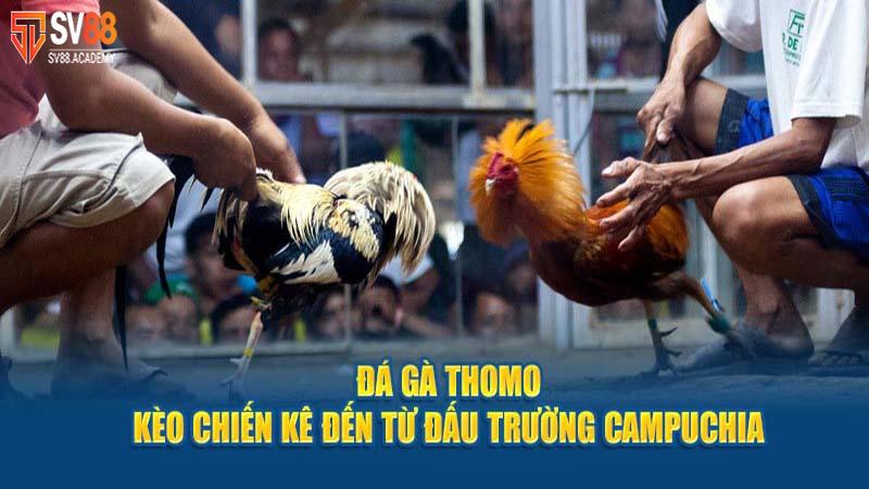 Đá Gà Thomo