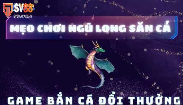 Mẹo trong trò chơi Bắn Cá Ngũ Long SV88 cho người mới 7 Mẹo chơi game Bắn Cá Ngũ Long SV88