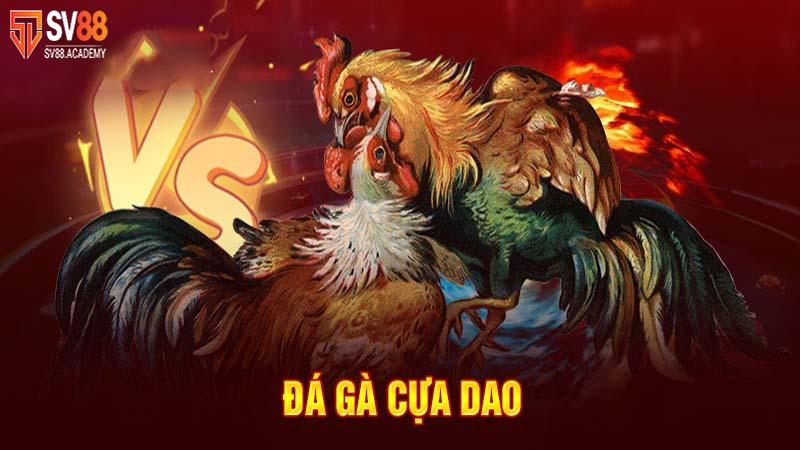 Đá gà cựa dao - Thể loại cá độ đẳng cấp tại nhà cái SV88 15 Thể thao đá gà cựa dao